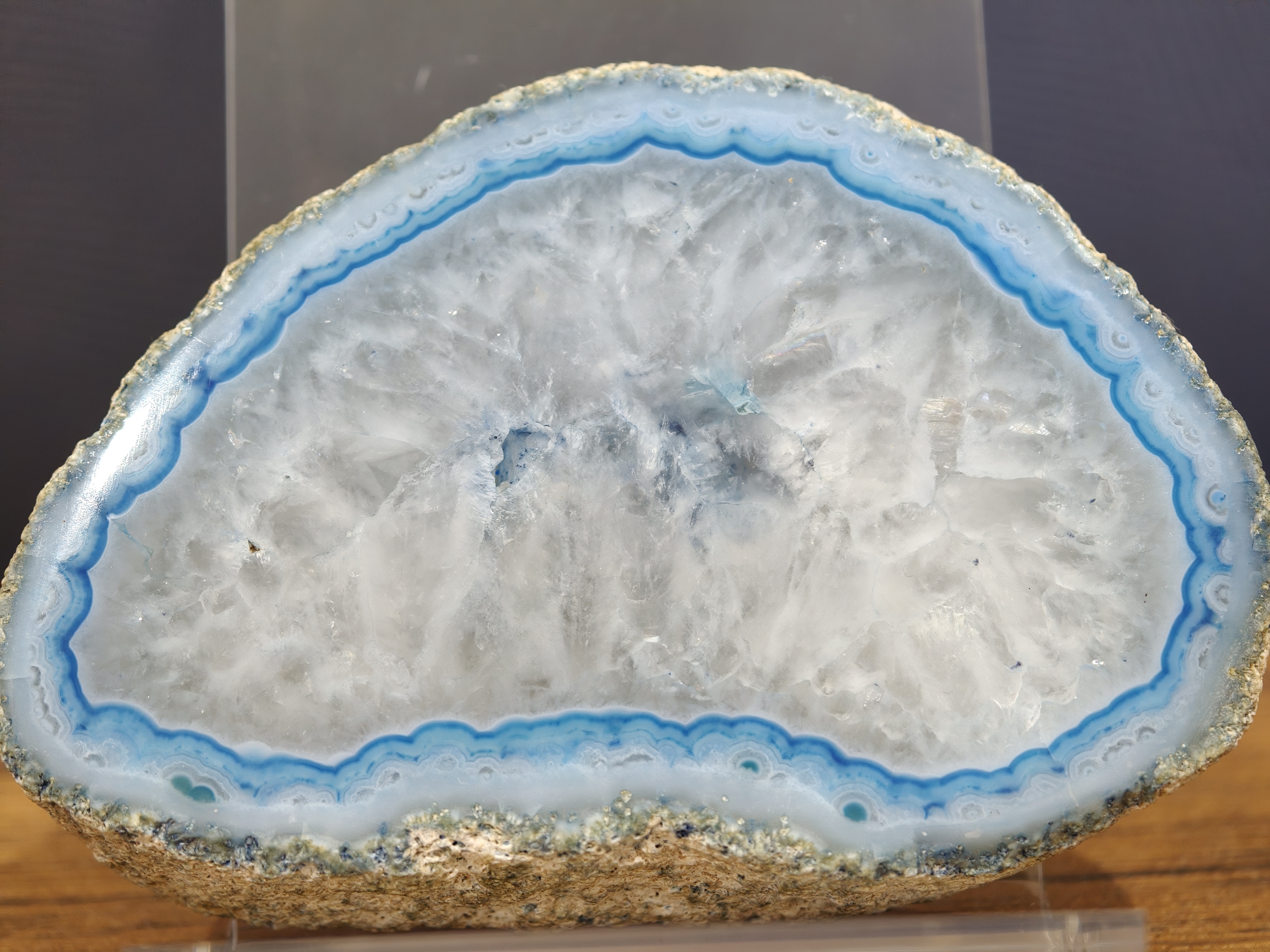A polished slice of a rock with light blue exterior, bright blue inner wall, and white/light grey internal structures.