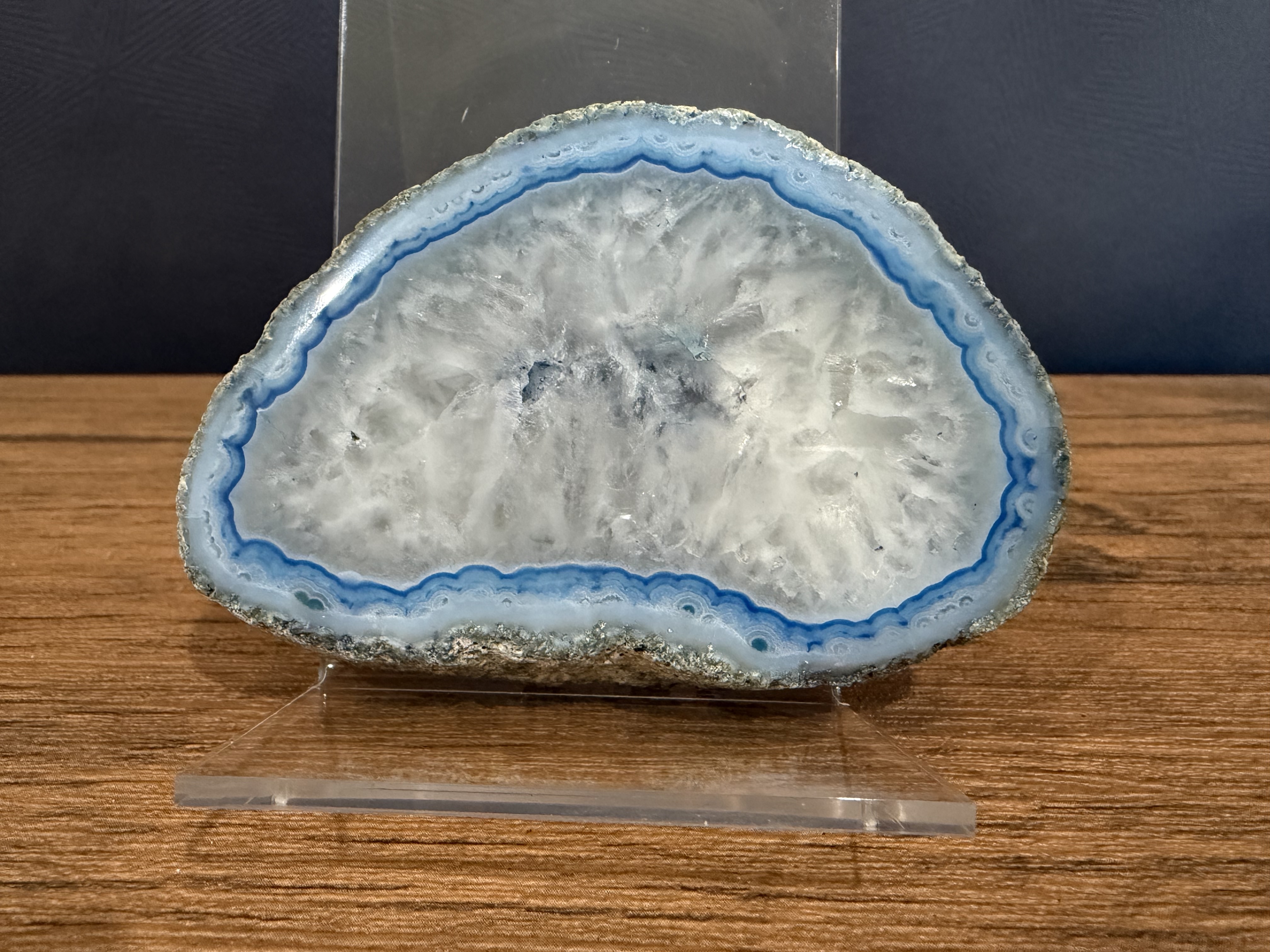 A polished slice of a rock with light blue exterior, bright blue inner wall, and white/light grey internal structures.